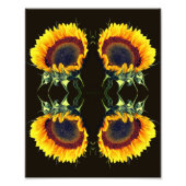 Zonnebloem in Zonneschijn Abstracte Bloem Art 8x10 Foto Afdruk (Voorkant)