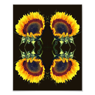 Zonnebloem in Zonneschijn Abstracte Bloem Art 8x10 Foto Afdruk