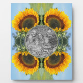 Zonnebloem in zonneschijn Creëer Uw eigen foto Fotoplaat (Voorkant)