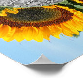 Zonnebloem in zonneschijn Creëer Uw eigen foto Poster (Hoek)