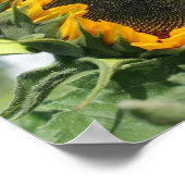 Zonnebloem in Zonneschijn Spiegel Abstract Poster (Hoek)