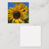 Zonnebloem Informatiekaartje (Voorkant / Achterkant)