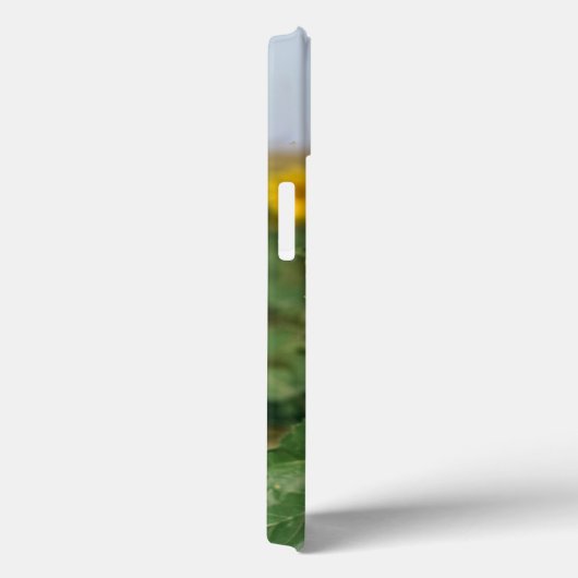 Zonnebloem iPhone 13 Hoesje (Achterkant / Rechts)