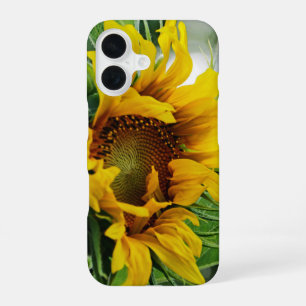 Zonnebloem iPhone 16 Hoesje