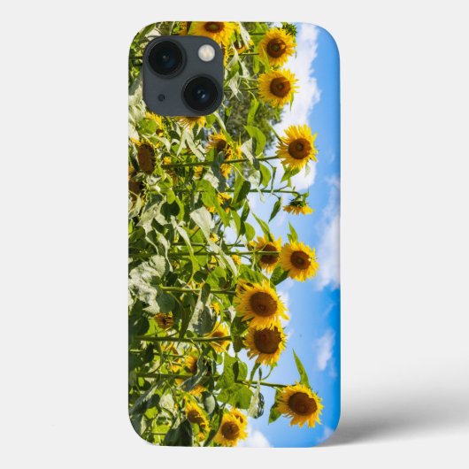 Zonnebloem iPhone Case (Achterkant)