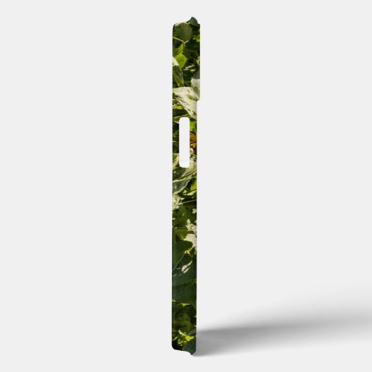 Zonnebloem iPhone Case (Achterkant / Rechts)