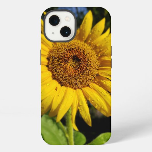 Zonnebloem iPhone Hoesje (Achterkant)