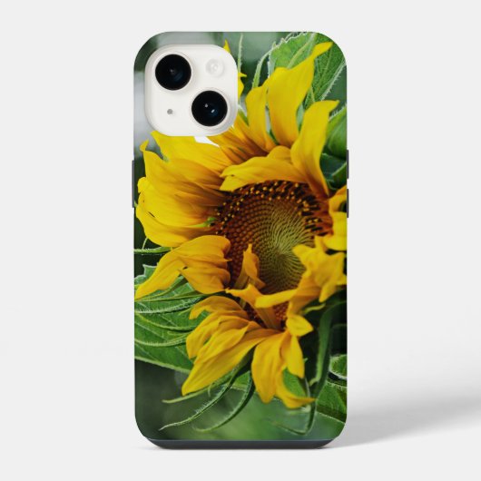 Zonnebloem iPhone Hoesje (Achterkant)