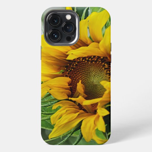 Zonnebloem iPhone Hoesje (Achterkant)