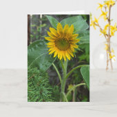 Zonnebloem Kaart (Gele Bloem)