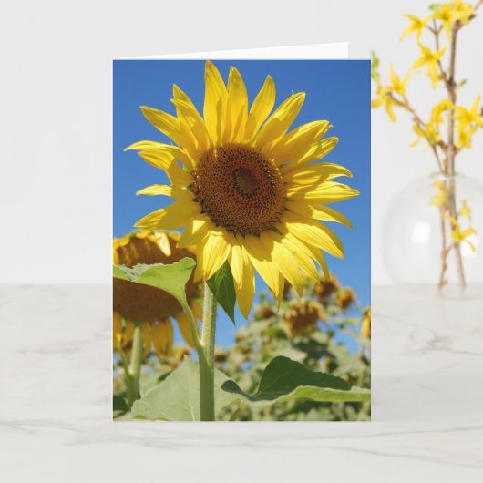 Zonnebloem Kaart (Gele Bloem)