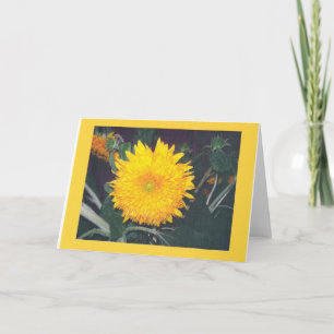 ZONNEBLOEM KAART