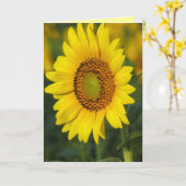 Zonnebloem Kaart (Gele Bloem)
