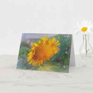 Zonnebloem Kaart