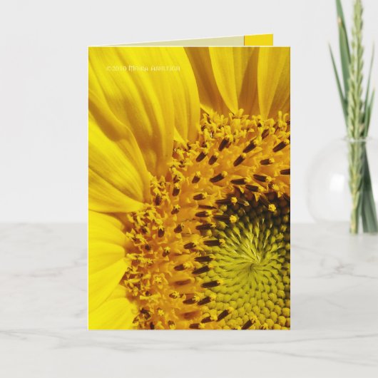 Zonnebloem Kaart (Voorkant)