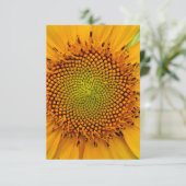 Zonnebloem Kaart (Staand voorkant)