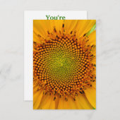 Zonnebloem Kaart (Voorkant / Achterkant)