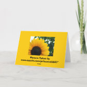 Zonnebloem Kaart (Achterkant)