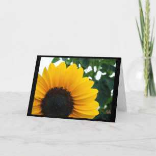 Zonnebloem Kaart