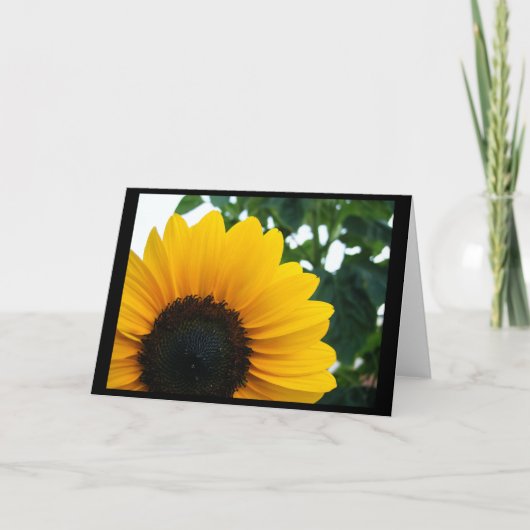 Zonnebloem Kaart (Voorkant)