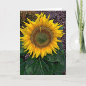 Zonnebloem Kaart (Voorkant)