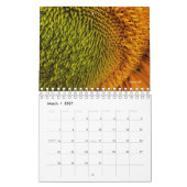 Zonnebloem Kalender (Mar 2027)