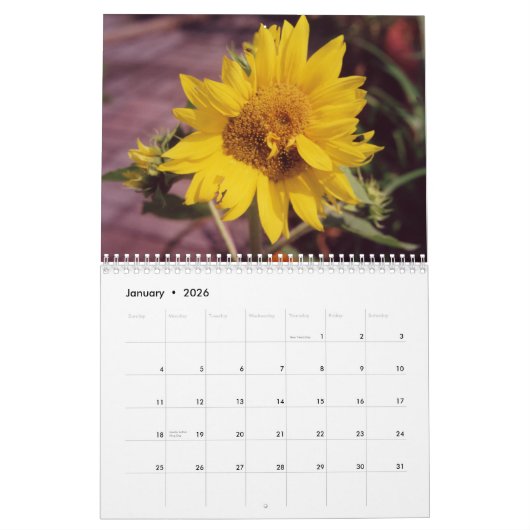 zonnebloem kalender (Jan 2026)