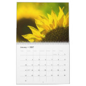 Zonnebloem Kalender - 12 Foto Collectie (Jan 2027)