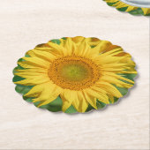 Zonnebloem Kartonnen Onderzetters (Gekanteld)