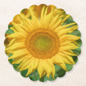 Zonnebloem Kartonnen Onderzetters (Voorkant)
