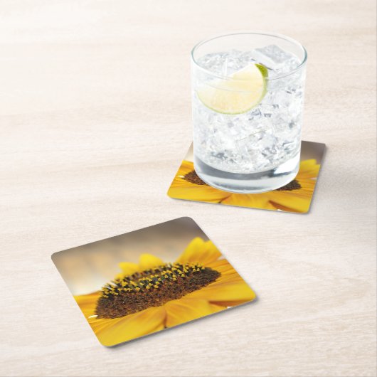Zonnebloem Kartonnen Onderzetters (Insitu)