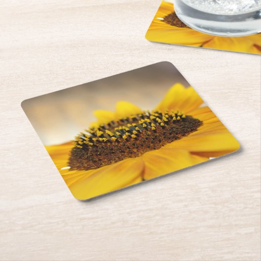 Zonnebloem Kartonnen Onderzetters (Schuin)