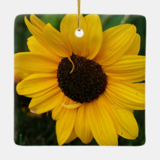 Zonnebloem Keramisch Ornament (Achterkant)