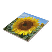 Zonnebloem Keramische foto Tile Tegeltje (Zijkant)
