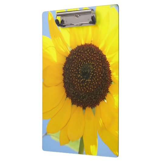 Zonnebloem Klembord (Links)