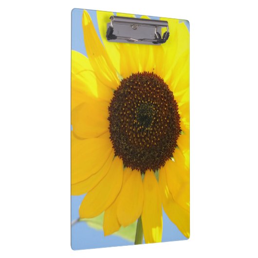 Zonnebloem Klembord (Rechts)