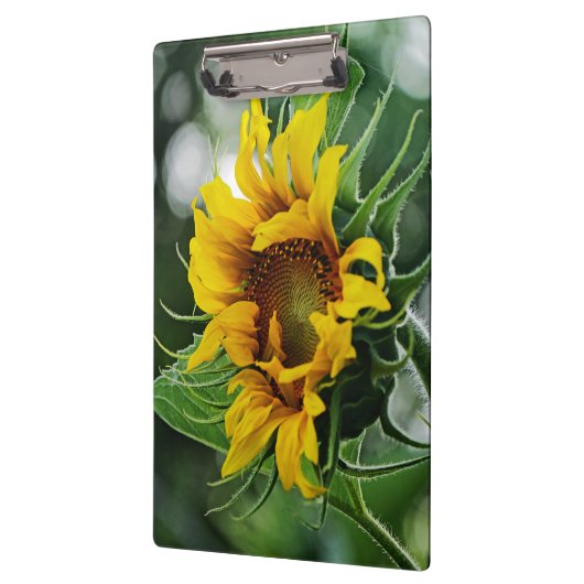 Zonnebloem Klembord (Links)