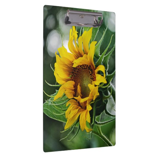 Zonnebloem Klembord (Rechts)