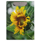 Zonnebloem Klembord (Voorkant)