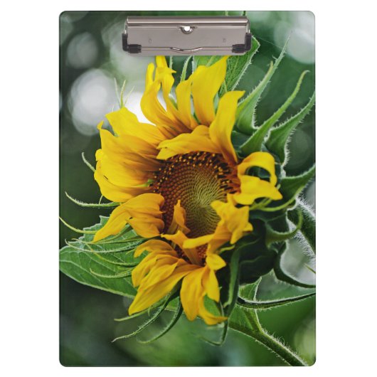 Zonnebloem Klembord (Voorkant)