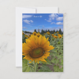 Zonnebloem knikken notitiekaartje