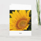 Zonnebloem komt snel goed kaart (Achterkant)