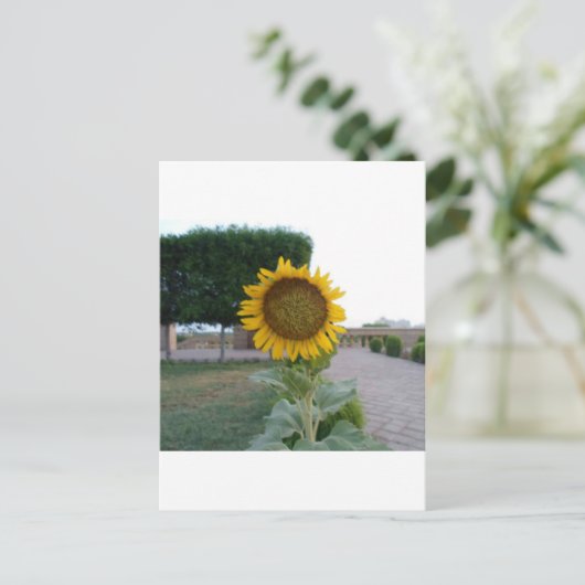 Zonnebloem Kunst Afdrukken Briefkaart (Staand voorkant)
