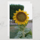 Zonnebloem Kunst Afdrukken Briefpapier (Voorkant / Achterkant)