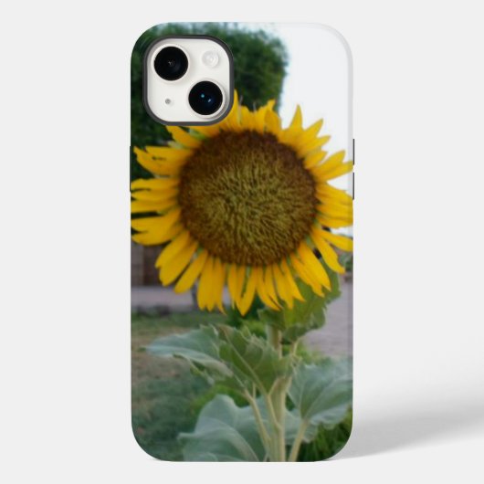 Zonnebloem Kunst Afdrukken Case-Mate iPhone Case (Achterkant)
