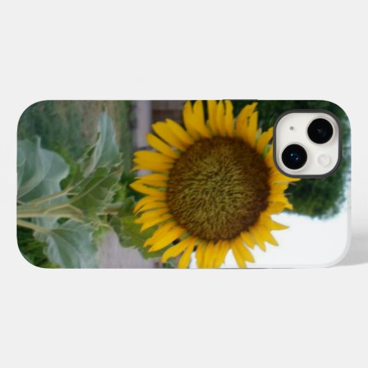 Zonnebloem Kunst Afdrukken Case-Mate iPhone Case (Achterkant (horizontaal))