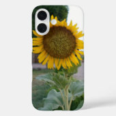 Zonnebloem Kunst Afdrukken Case-Mate iPhone Case (Achterkant)