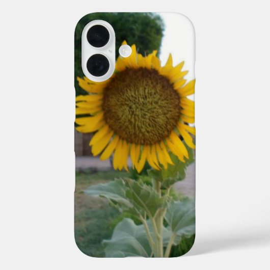 Zonnebloem Kunst Afdrukken Case-Mate iPhone Case (Achterkant)