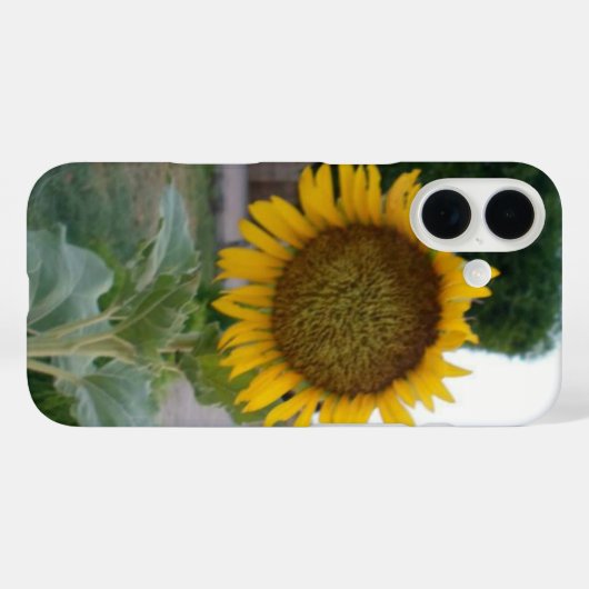 Zonnebloem Kunst Afdrukken Case-Mate iPhone Case (Achterkant (horizontaal))