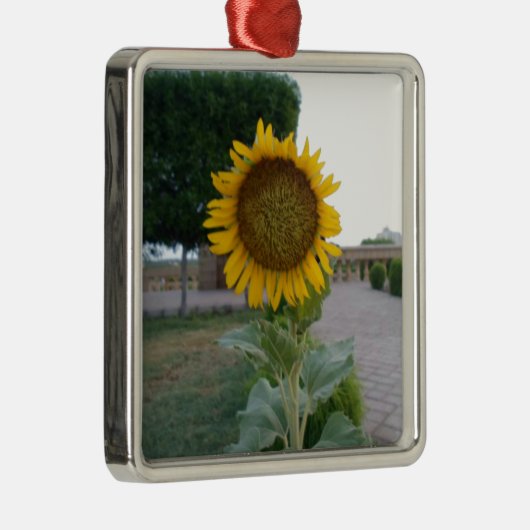 Zonnebloem Kunst Afdrukken Metalen Ornament (Rechts)